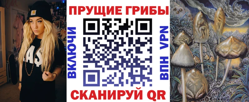 Галлюциногенные грибы GOLDEN TEACHER  купить наркоту  ОМГ ОМГ ссылки  Усмань 
